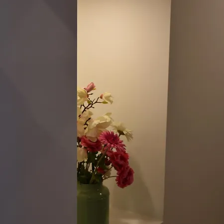 Courtyard - Painters House 度假居 塞图巴尔